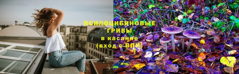 Псилоцибиновые грибы Cubensis  ссылка на мегу ТОР  Кувшиново 